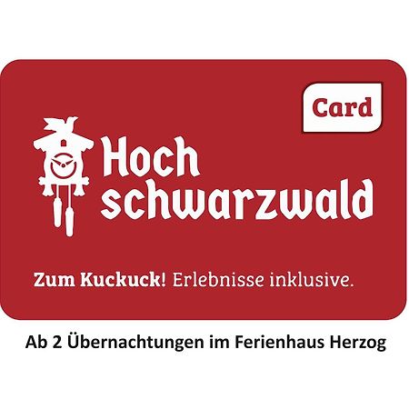 Ferienhaus Haus Herzog ティティゼー・ノイシュタット エクステリア 写真