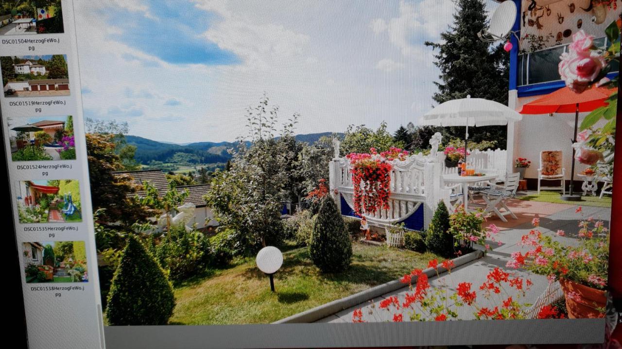 Ferienhaus Haus Herzog ティティゼー・ノイシュタット エクステリア 写真