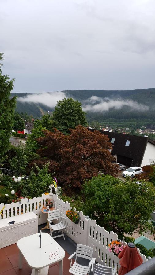 Ferienhaus Haus Herzog ティティゼー・ノイシュタット エクステリア 写真