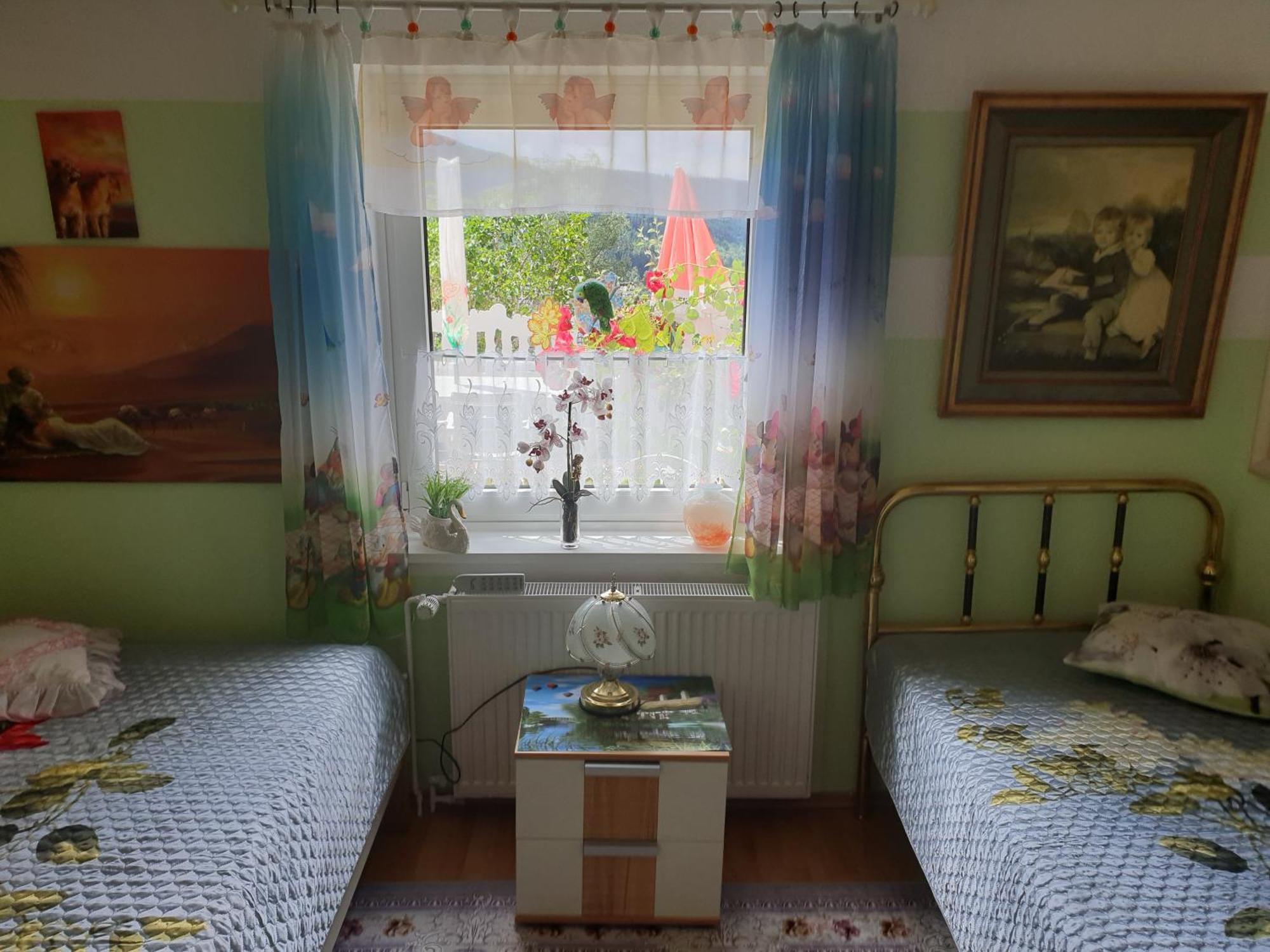 Ferienhaus Haus Herzog ティティゼー・ノイシュタット エクステリア 写真