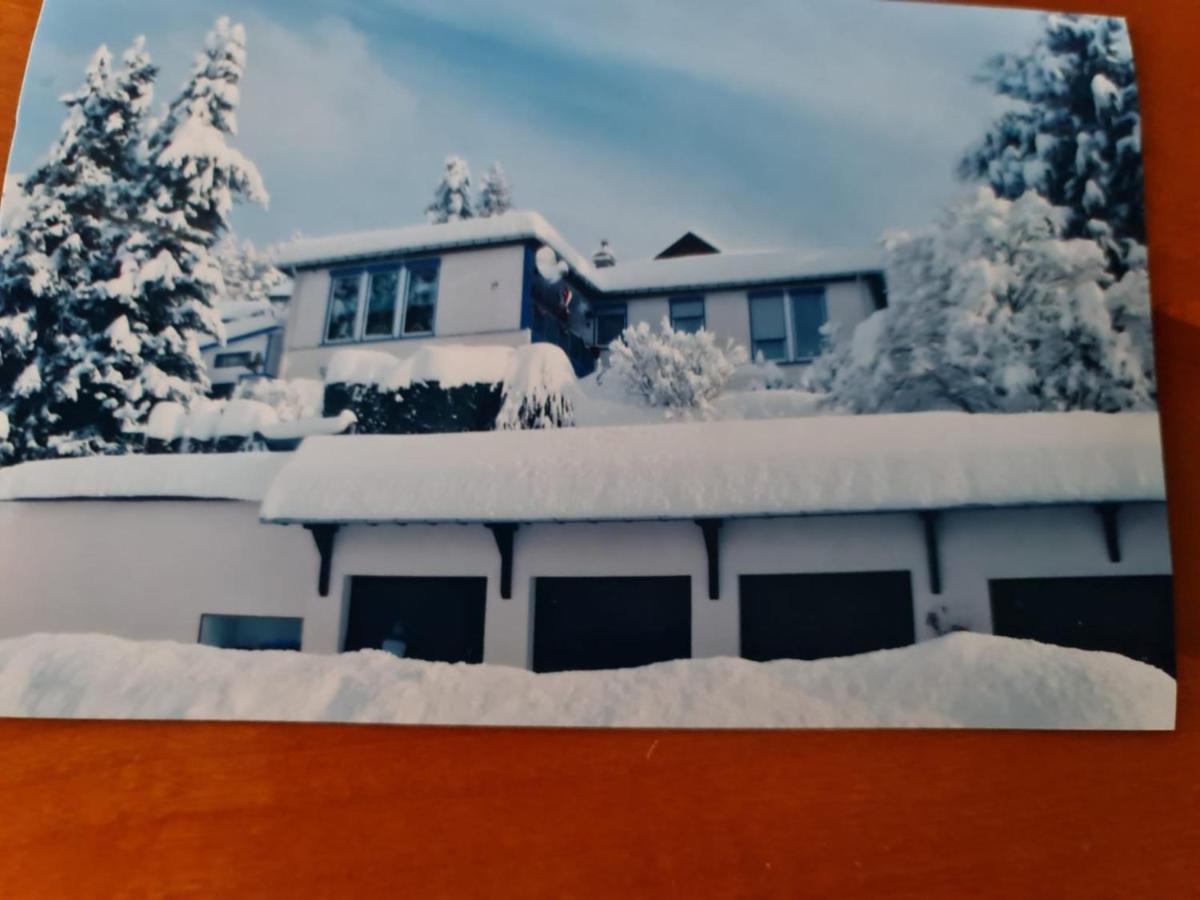 Ferienhaus Haus Herzog ティティゼー・ノイシュタット エクステリア 写真