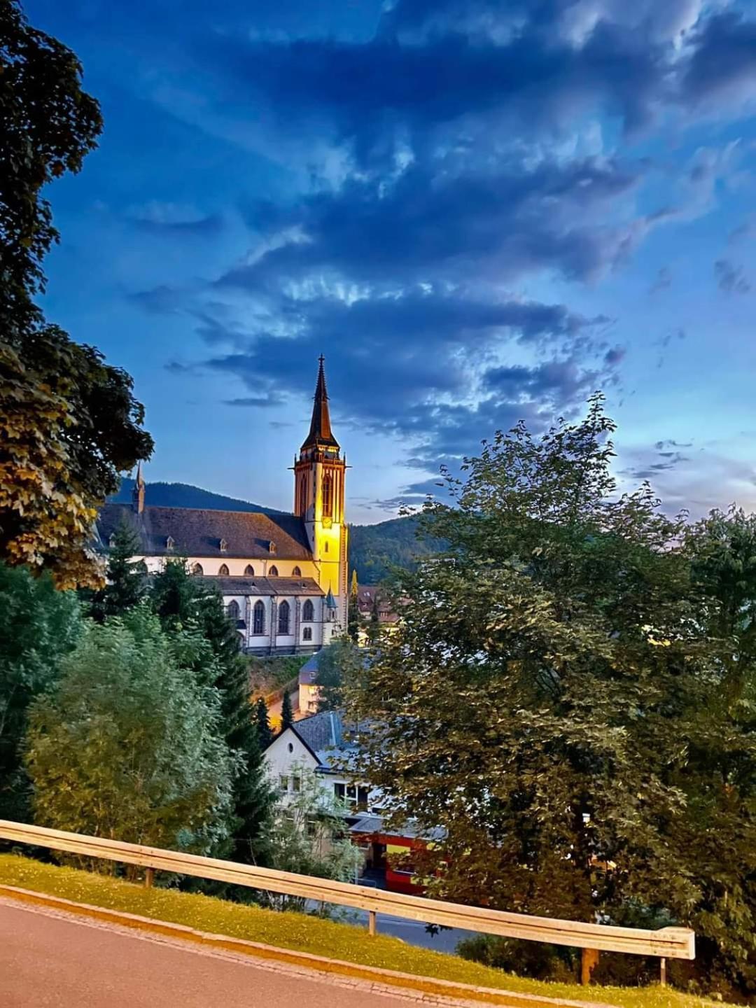 Ferienhaus Haus Herzog ティティゼー・ノイシュタット エクステリア 写真