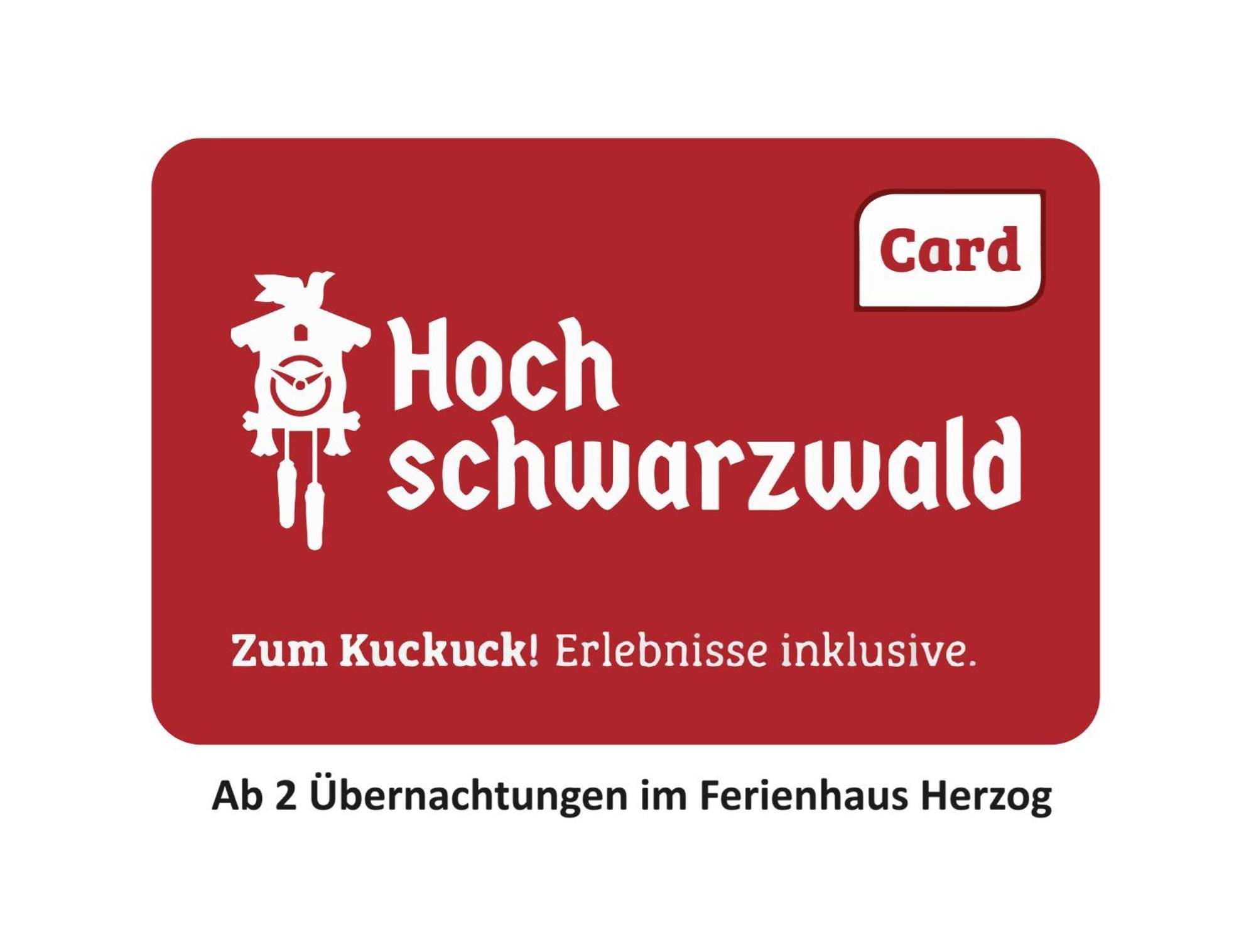 Ferienhaus Haus Herzog ティティゼー・ノイシュタット エクステリア 写真