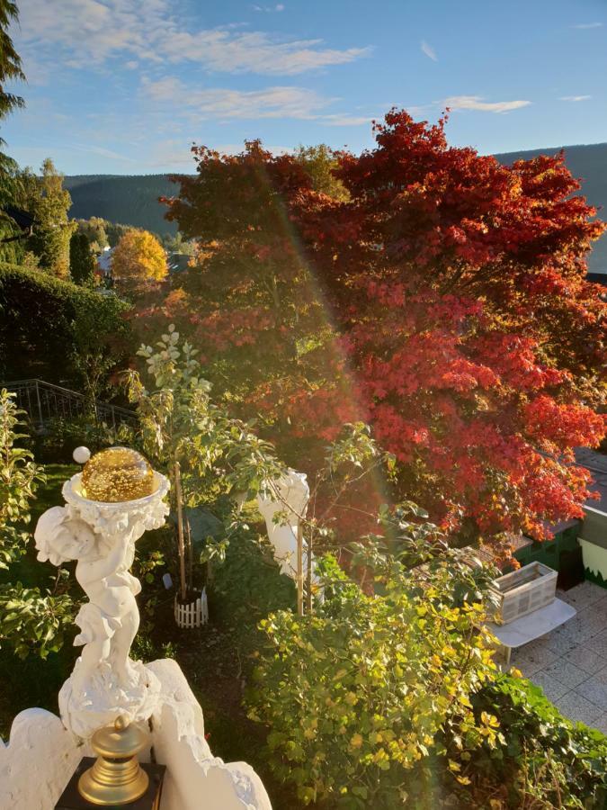Ferienhaus Haus Herzog ティティゼー・ノイシュタット エクステリア 写真
